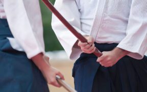 The Art of the Aikido Sword: Balance, Harmony, and Defense