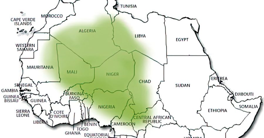 Part of the Sahel region of Africa