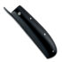 Phan Thiet Friction Folder – Horn Scales