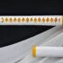 Zenitsu’s Sword Demon Slayer Cosplay 1060 Carbon Steel Sword