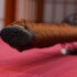Bonji Sanmai Tamahagane Katana