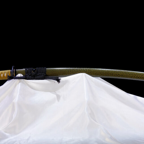Tyrannosaurus Musashi Katana Spring Steel – Oil Quenching