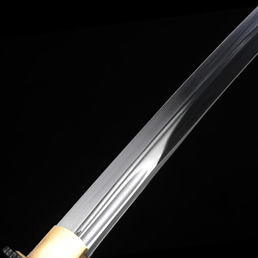 Dojo Pro 1060 Steel Tanto #1