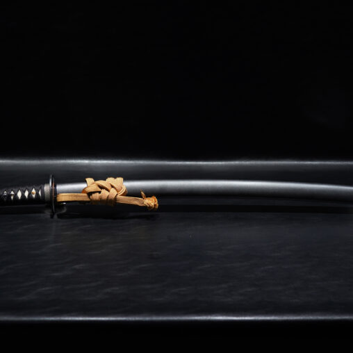 Tuoyuan Katana MKIII(Final Version)