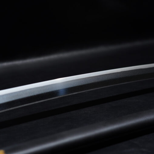 Tuoyuan Katana MKIII(Final Version)