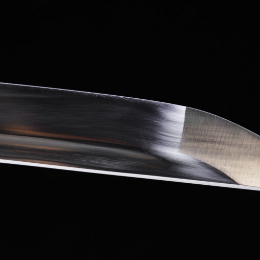 Tyrannosaurus Musashi Katana Spring Steel – Oil Quenching