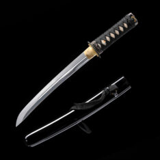 Dojo Pro 1060 Steel Tanto #1