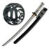 Koi Wakizashi – The Unyielding Waterfall Fish