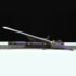 Tang Dynasty Jian Sword Mudan Pattern Steel Clay Tempered Blade