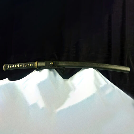 Wakizashi 9260 Spring Steel Sword
