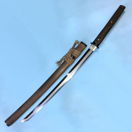 Katana T10 Steel Sword Elito Pro Aikuchi