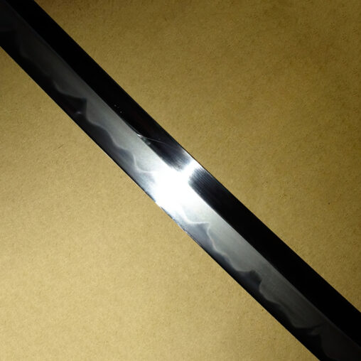 Shirasaya T10 Steel Sword Unokubi