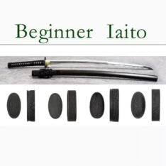 Beginner Iaito（Blunt Sword, Training Sword, Not Sharp)