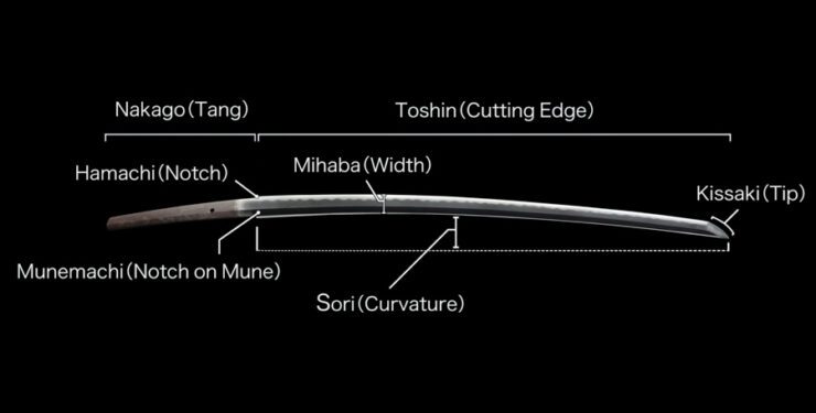 5 Types of Sori (Curve) Found on Japanese Blades