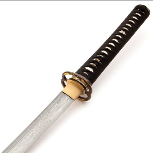 Bushido Tonbo Katana with a Japanese Dragonfly