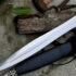 European Arming Sword with Leaf-Shaped Blade and Irish Ring Pommel