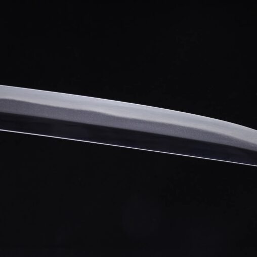 Dragonfly Koshirae Crucible Kanmuriotoshi-Zukuri Katana