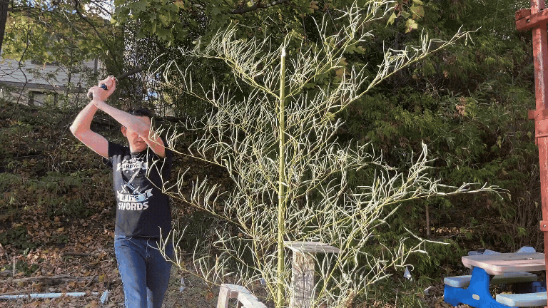 DlatrexSwords-Durability-Bamboo