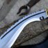 Dragon Kukri Knife with Ribbed Spine