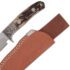 Muley – Stag Handle with Gut Hook Style Blade