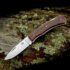Denali – Lockback Folder with Drop Point Blade
