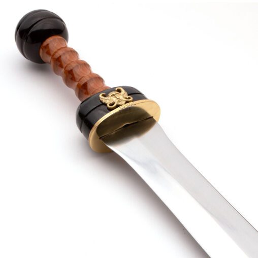 Arena Gladius