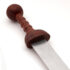 Training Gladius with Aluminum Blade