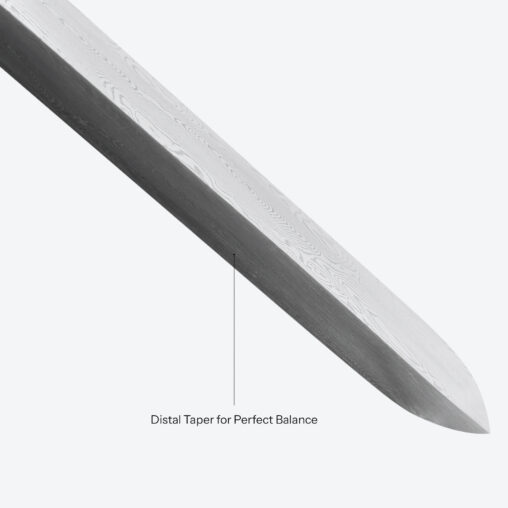 Silver Dragon-Head Cane Sword | Ebony Darkwood and Folded Steel