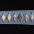 CPM-3V High Performance Katana Sword
