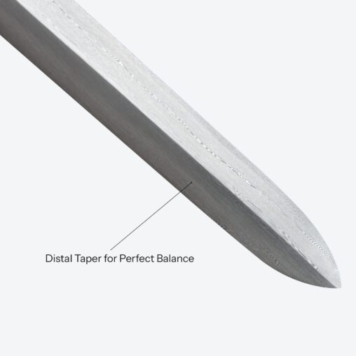 Black Dragon Round Pommel Cane Sword | Ebony Darkwood and Damascus Steel