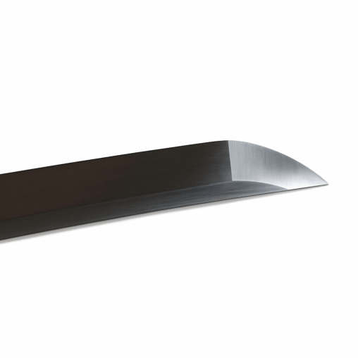 Carbon Steel + Spring Steel
