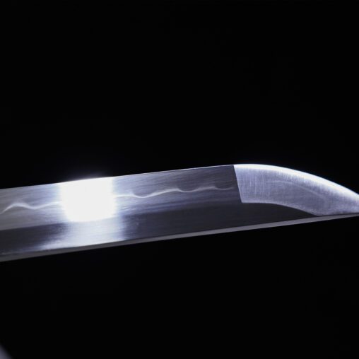 Grey Dragon Katana with Dragonfly Fititings | Clay Tempered 1095