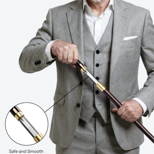 Gold Lion Cane Sword | Ebony Darkwood and Damascus Steel Blade