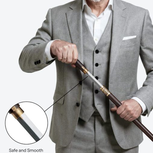 Gold Dragon Cloud Round Pommel Cane Sword | Ebony Darkwood and Damascus Steel