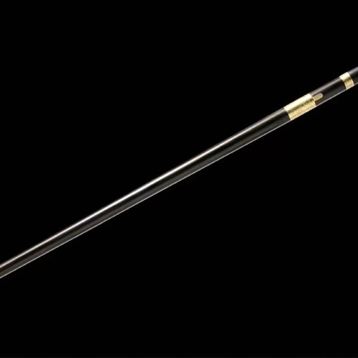 Black Crook Handle Cane Sword for Tai-Chi | Ebony Darkwood and Folded Steel