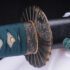 9260 Steel Katana Moroha-Zukuri