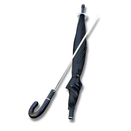 Rapier Umbrella Cane Sword
