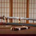 Luxury Horimono Sakura Koshirae Katana