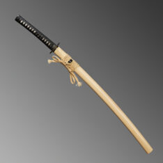 Nova Black and White Dragonfly Katana Sword